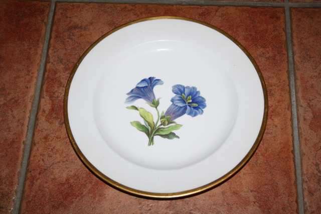 Meissen Teller, 6 x mit Blumendekor - Infos gesucht